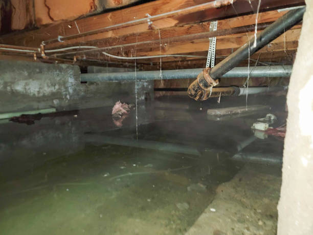 Best Water damage restoration process  in Ramseur, NC