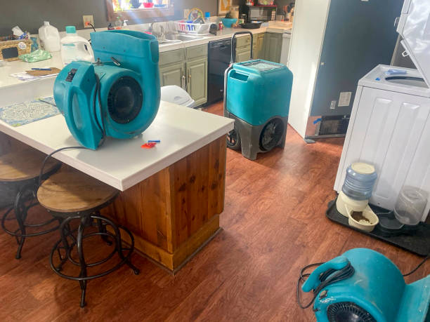 Best Residential water damage restoration  in Ramseur, NC