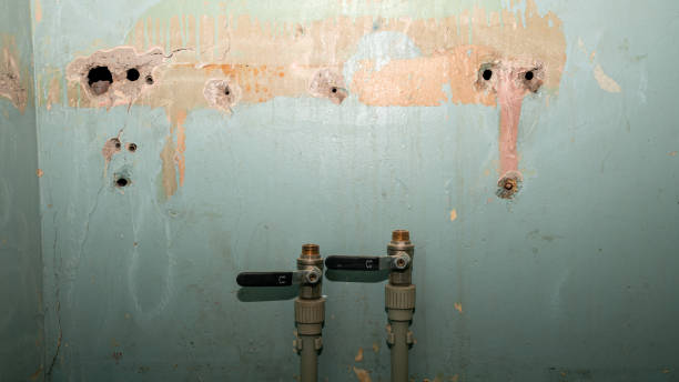 Best Water damage restoration mold remediation  in Ramseur, NC