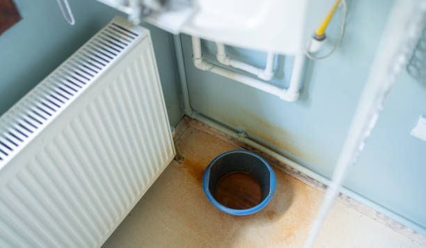 Best Emergency water damage restoration  in Ramseur, NC