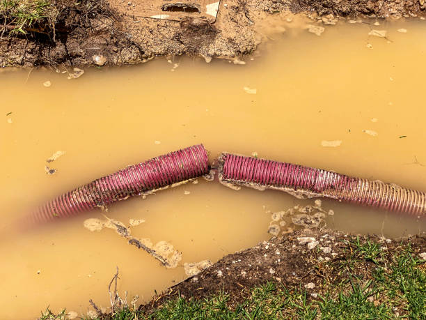 Best Water damage restoration near me  in Ramseur, NC